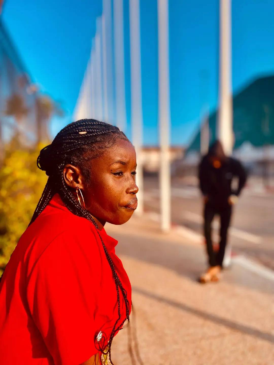 Papigraphics Background