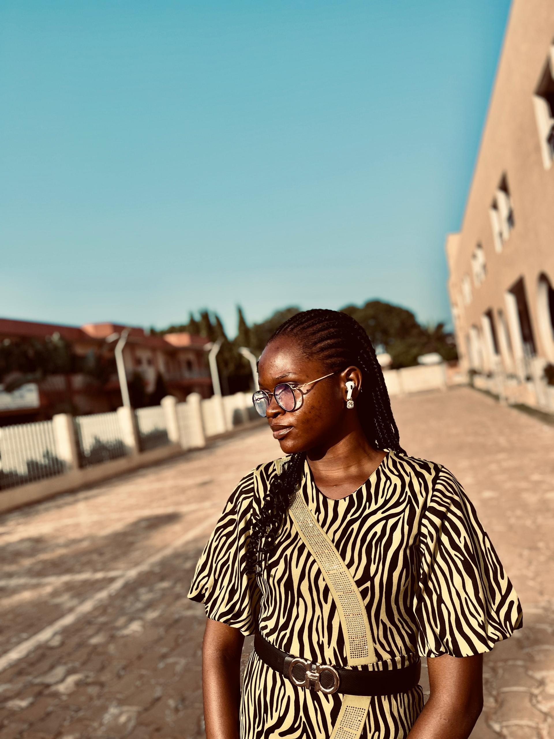 Zebra Fashion Street